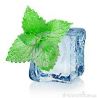 /album/e-sabores-mentolados/e-sabor-menta-png/